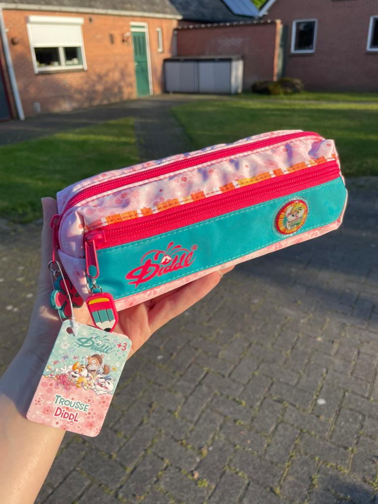 Diddl etui, Ophalen of Verzenden, Zo goed als nieuw, Roze, Rugtas