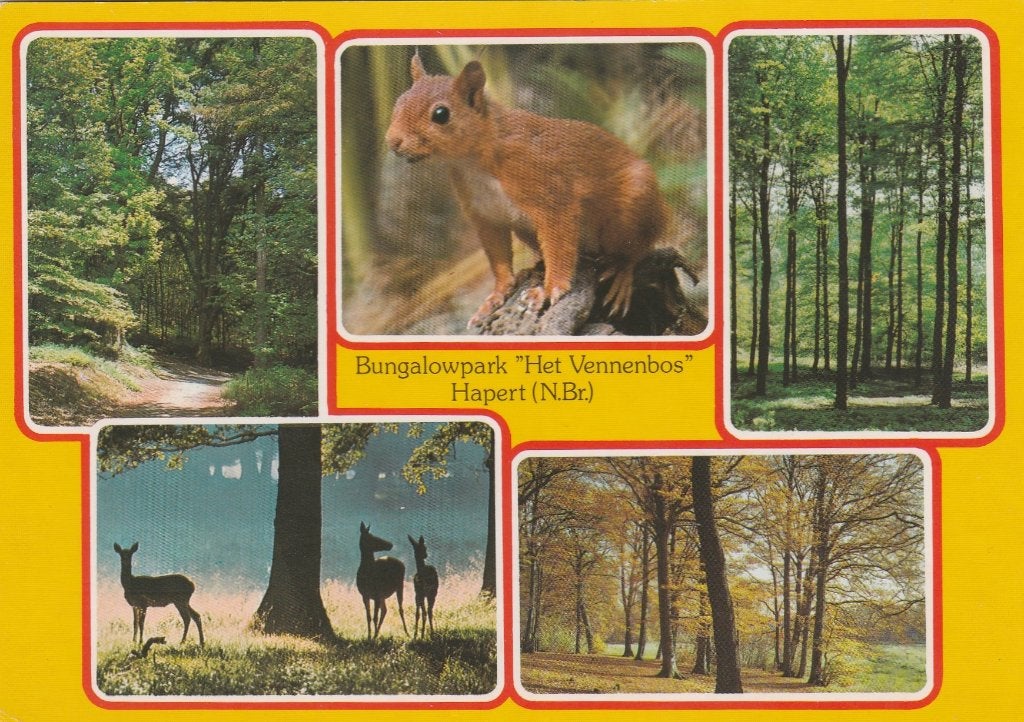 HAPERT Het Vennenbos Bungalowperk Sporthuis Centrum, Verzenden, 1980 tot heden, Gelopen, Noord-Brabant