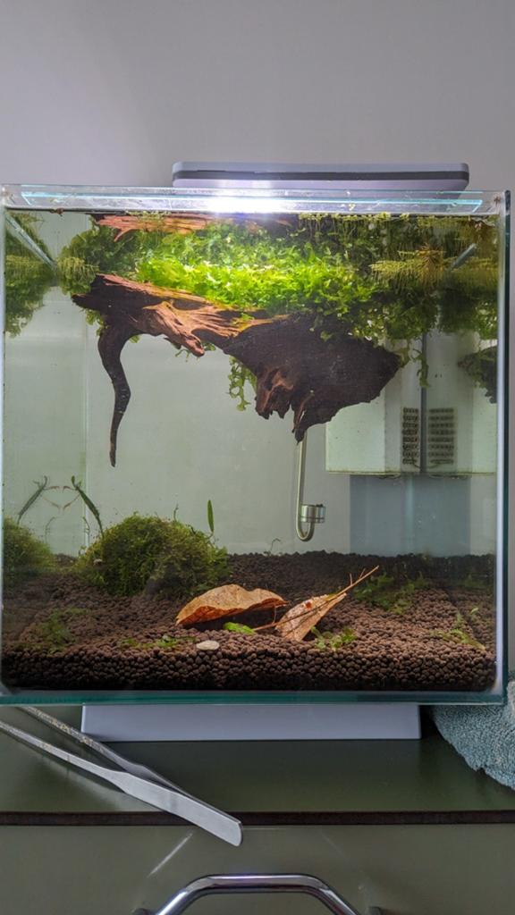 SuperFish Qubiq 30 Pro compleet., Dieren en Toebehoren, Ophalen, Zo goed als nieuw, Leeg aquarium, Superfish