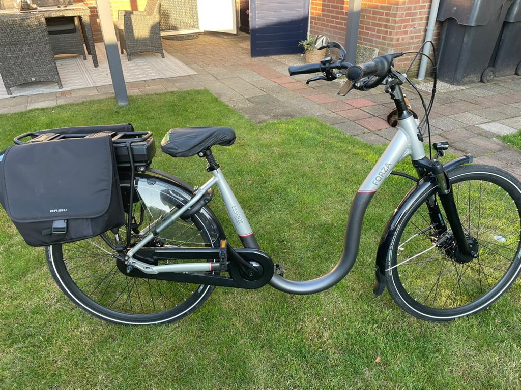 Forza Essenze Damesfiets – Lage Instap!, Fietsen en Brommers, 51 tot 55 cm, Ophalen, Zo goed als nieuw, Overige merken