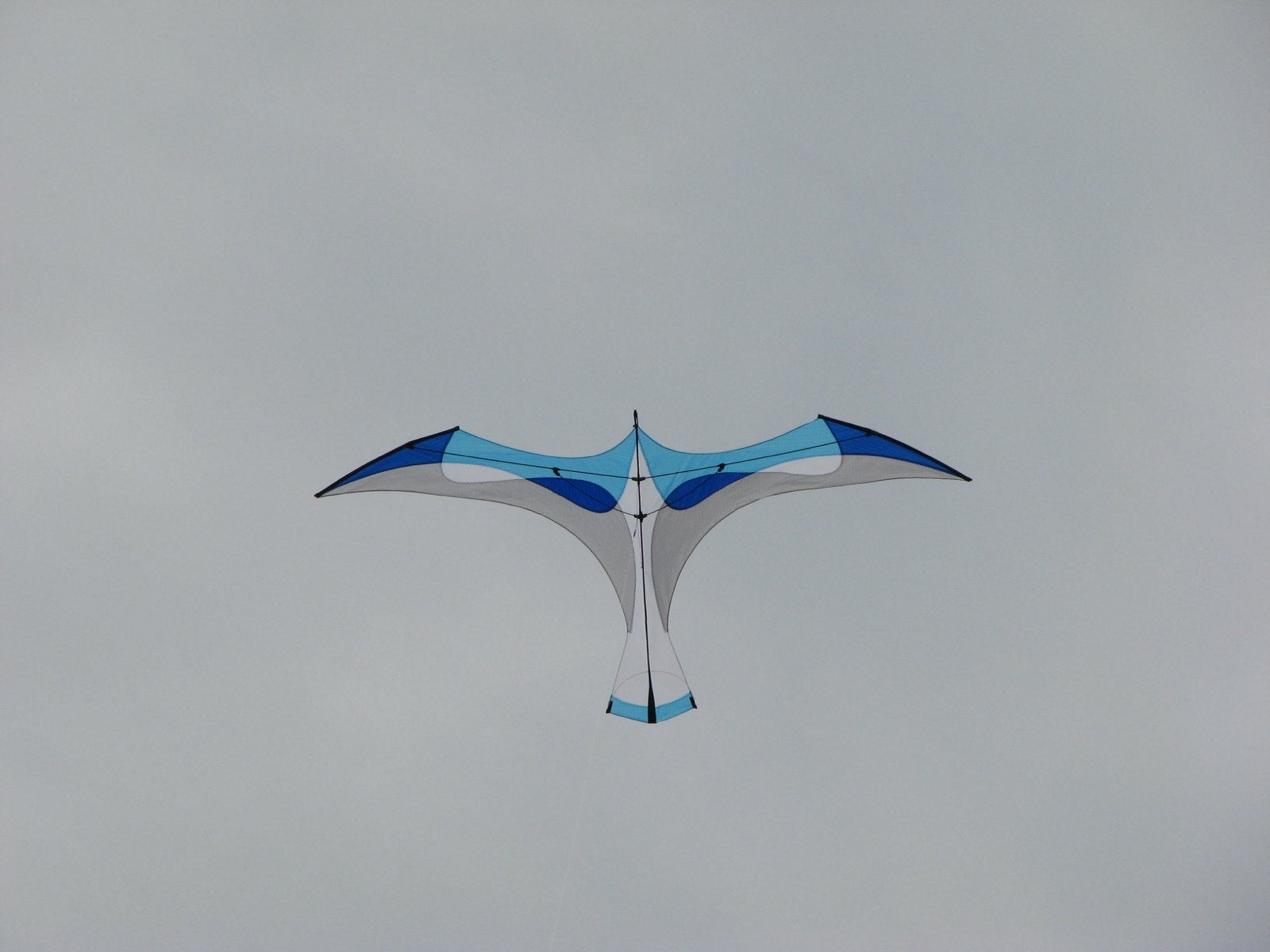 Flying Wings De Laima, Ophalen of Verzenden, Zo goed als nieuw, Eenlijns, Vlieger