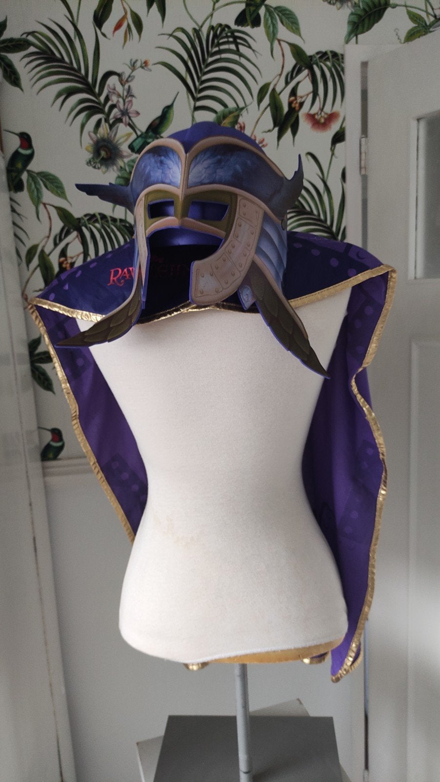 Raveleijn cape en masker - Efteling, Ophalen of Verzenden, Zo goed als nieuw, Pak of Jurk