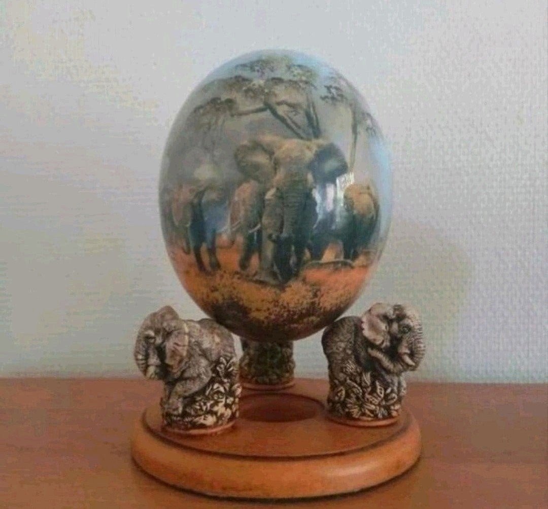 Struisvogel  , struis vogel ei big five afrika  , afrikaanse, Antiek en Kunst, Ophalen of Verzenden, Geschilderd, Natuurlijk materiaal
