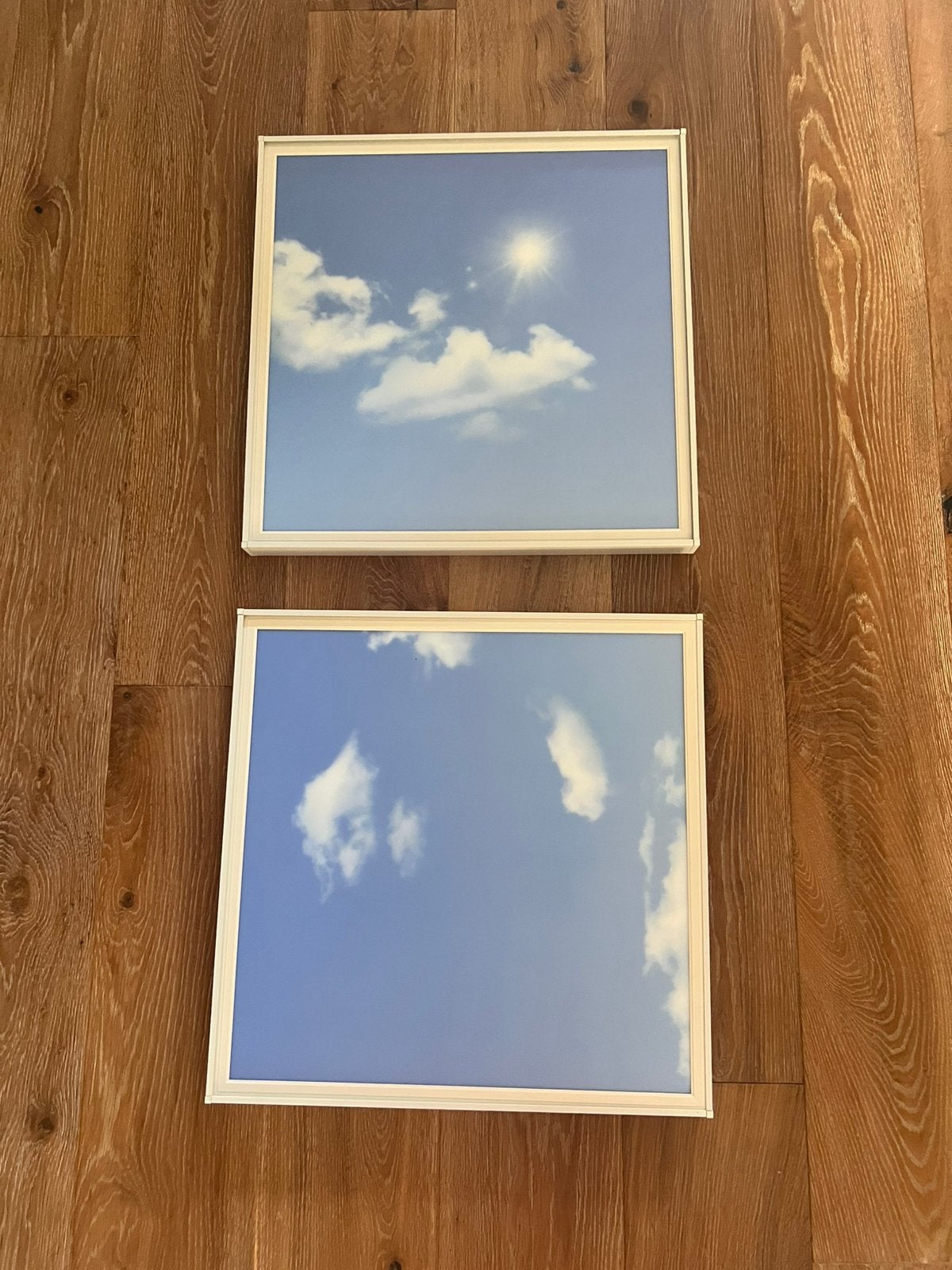 Dag licht led panelen, Ophalen of Verzenden, Zo goed als nieuw