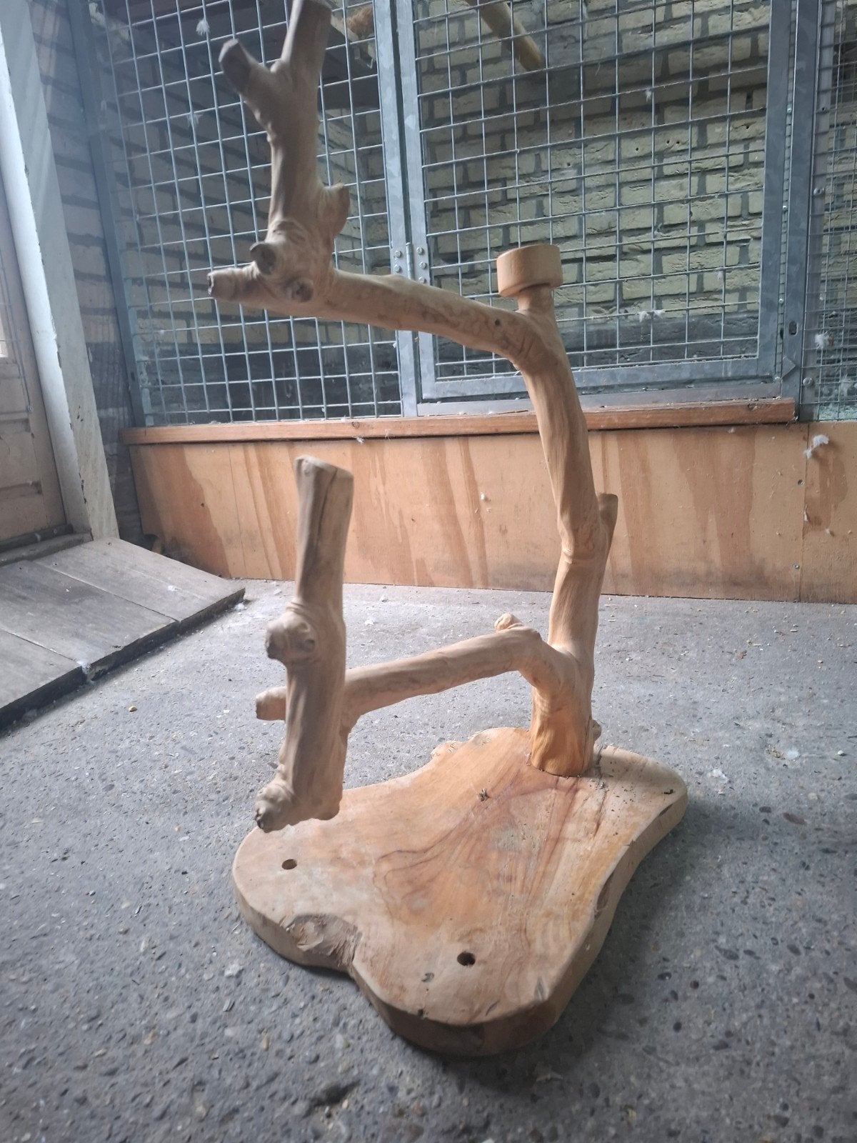 javaboom tafelmodel, Dieren en Toebehoren, Ophalen of Verzenden