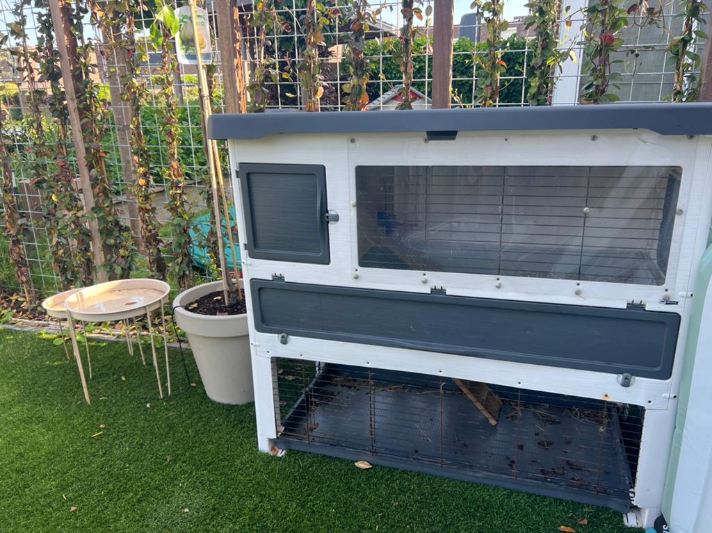 Grand lodge met windscherm, Dieren en Toebehoren, Knaagdieren en Konijnen | Hokken en Kooien, Ophalen, 110 cm of meer, Zo goed als nieuw