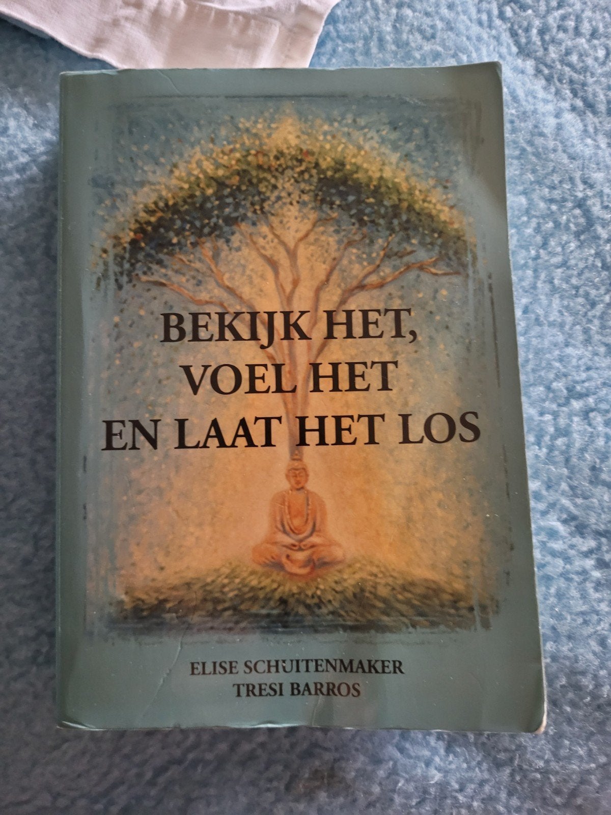 bekijk het voel het en laat het los, Ophalen of Verzenden