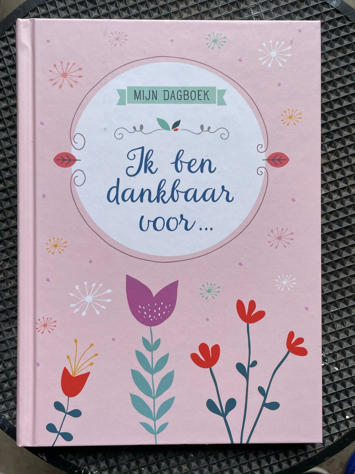 Nieuw dankbaarheids dagboek, Ophalen of Verzenden, Nieuw, A5