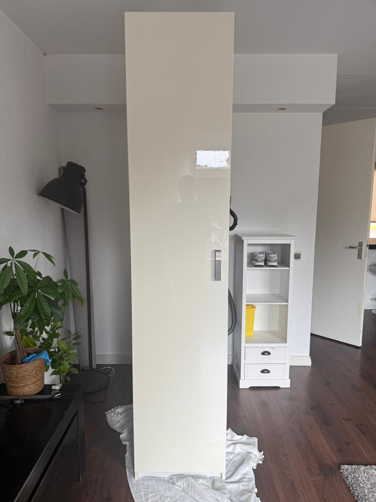 Hoge kast met hoog glans deur, Ophalen, 200 cm of meer, Met plank(en), 50 tot 100 cm