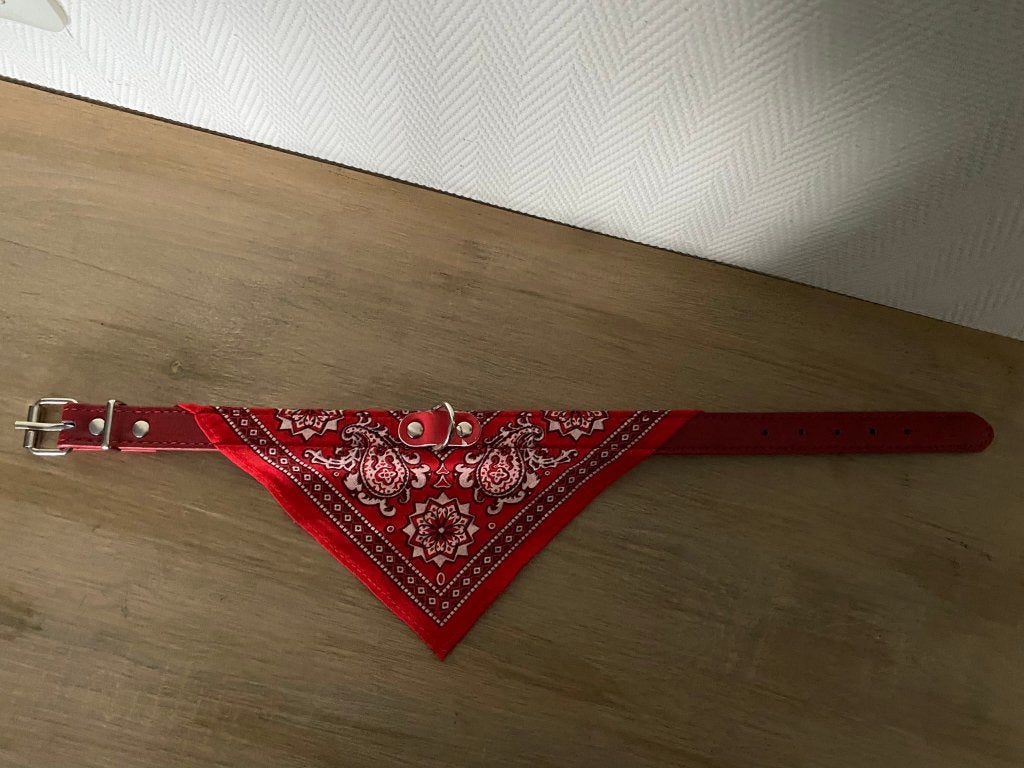 LEUKE HALSBAND  NIEUW, Dieren en Toebehoren, Ophalen of Verzenden, Nieuw