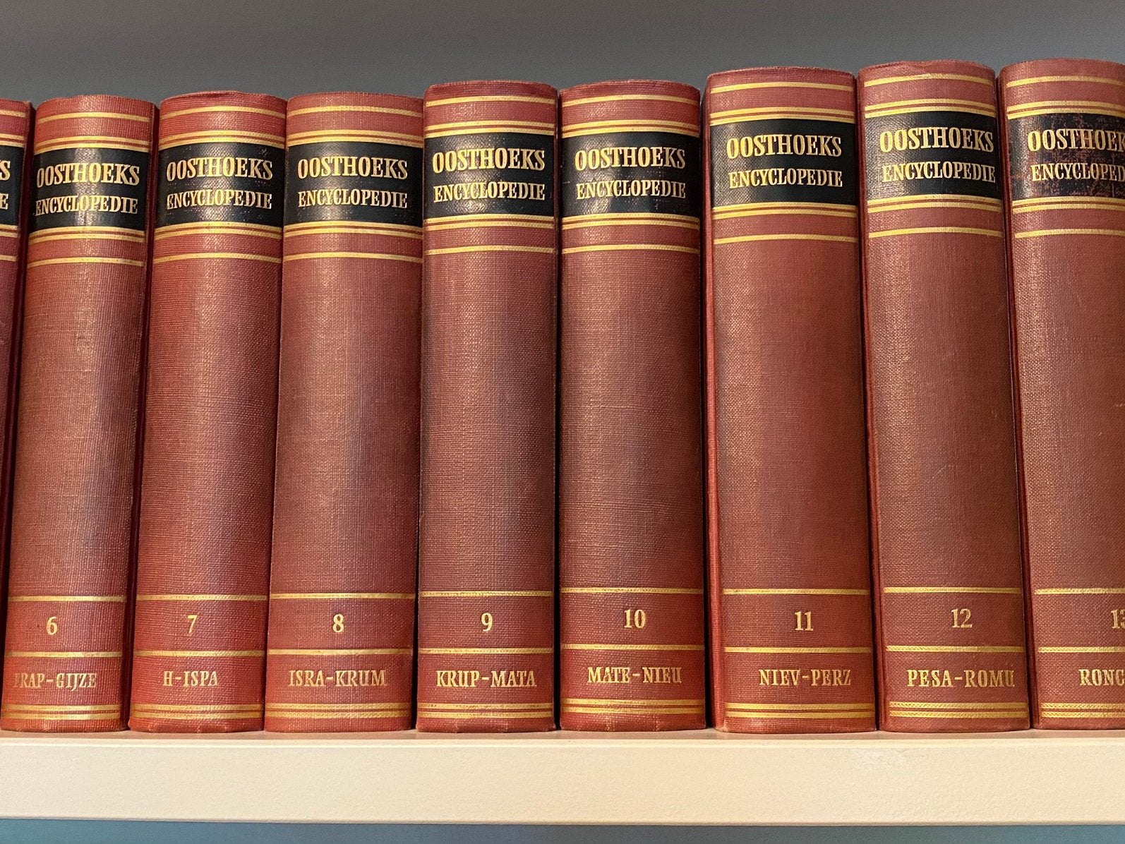 Oosthoeks Encyclopedie – 16 delen + supplement, Boeken, Encyclopedieën, Ophalen of Verzenden, Zo goed als nieuw, Complete serie