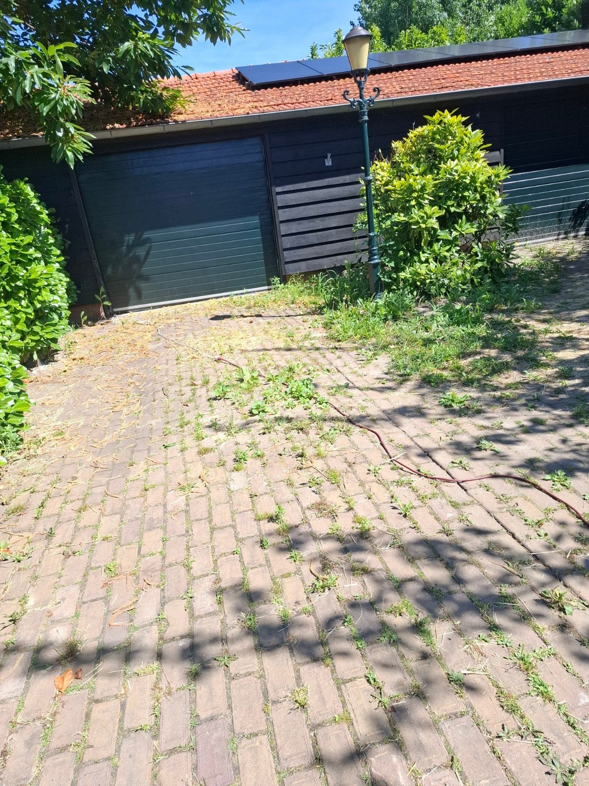 Tuinman aangeboden  oktober november, Tuin en Terras, Ophalen of Verzenden, Nieuw, Beton, Terrastegels