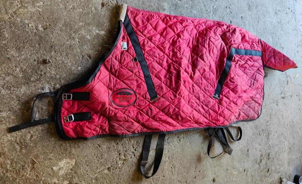 Staldeken, rood, maat 175, 50 grams, paardendeken, Gebruikt, Overige merken, Cob (M), Rood