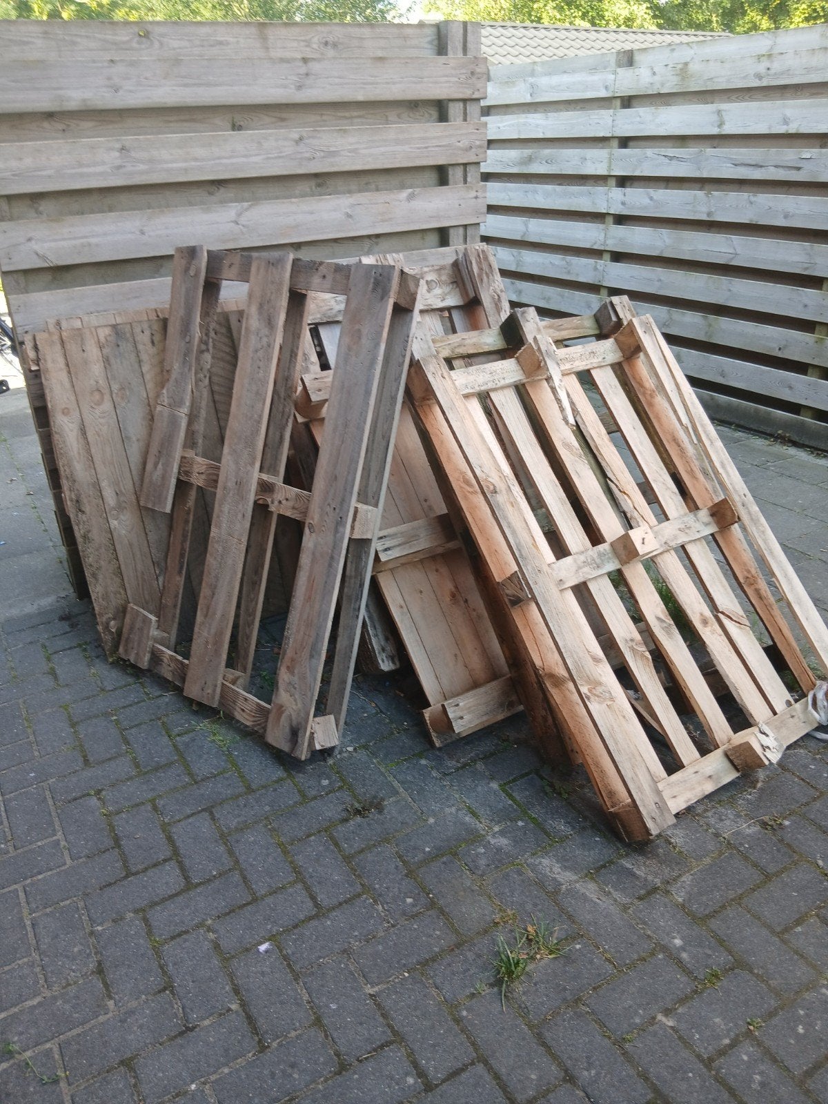 Gebruikte houten pallets, Ophalen, Gebruikt, 50 mm of meer, Pallet
