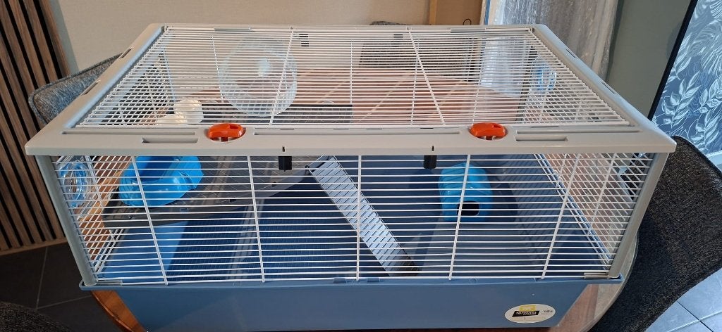 Complete hamsterkooi met tunnels, accessoires en voer, Dieren en Toebehoren, Kooi, Zo goed als nieuw, Hamster, 75 tot 110 cm