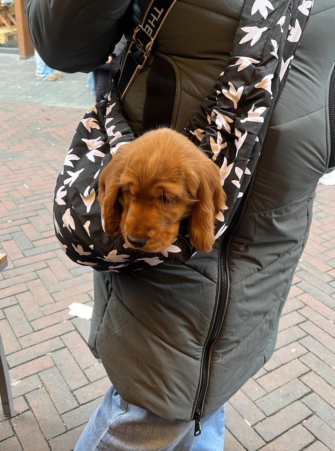 Puppydraagzak of voor een kleine hond, Dieren en Toebehoren, Ophalen of Verzenden, Zo goed als nieuw