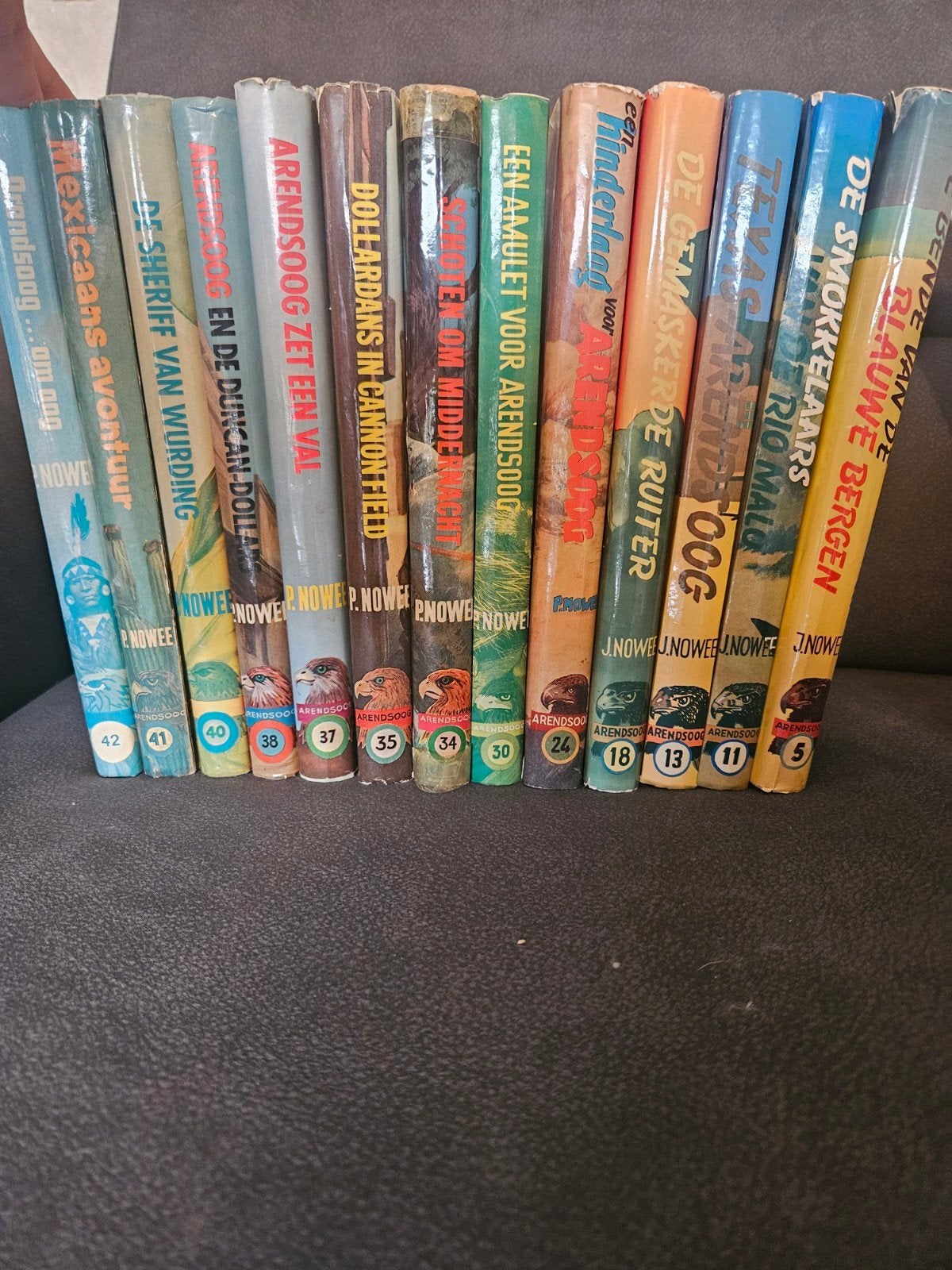 Arendsoog boeken - Complete set van 12 avonturen, Ophalen of Verzenden, Gelezen, Nowee