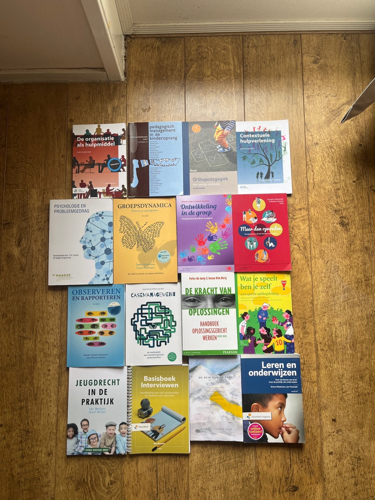 Schoolboeken HBO pedagogiek jaar 2- De Haagse Hogeschool, Ophalen of Verzenden, Gelezen, Overige niveaus