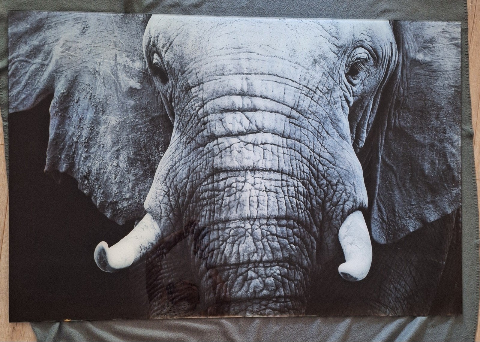 Mooie grote glazen schilderij olifant, Antiek en Kunst, Ophalen, Glas, Dieren