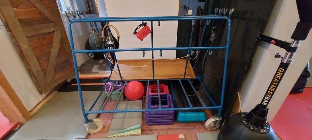 Unieke vintage mattenwagen uit gym, blauw staal hout wielen, Ophalen, Gebruikt, Overige typen