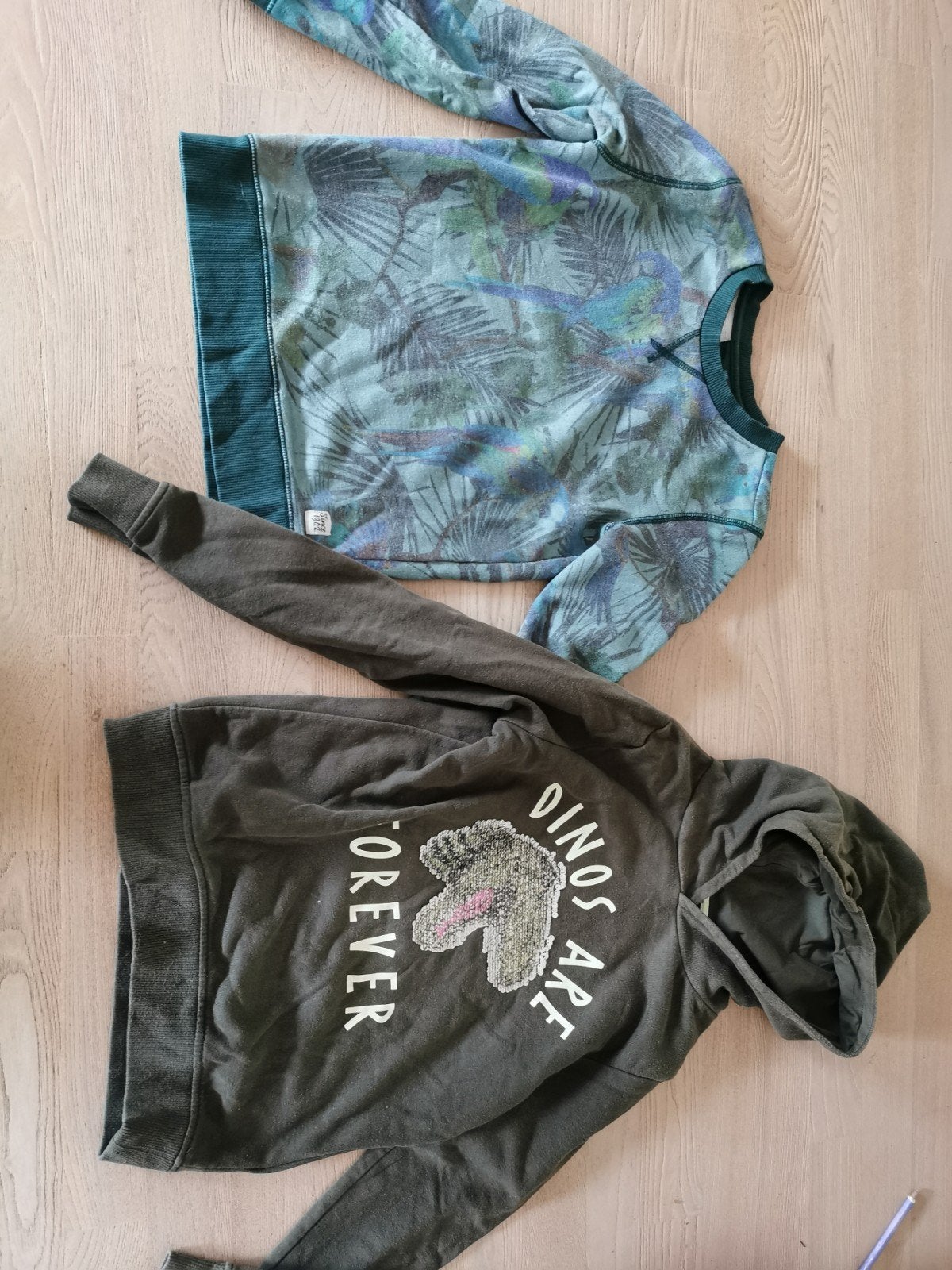2 Truien: WE (maat 134-140) en H&M (dinosaurus), Ophalen of Verzenden, Zo goed als nieuw, Jongen, Trui of Vest