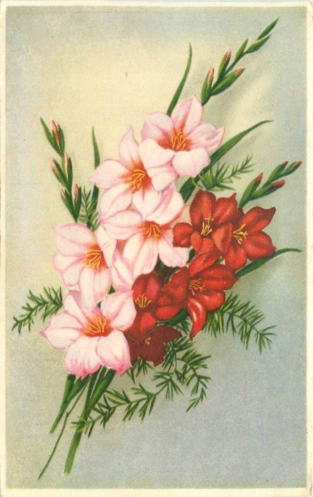 381-345-027 Bloemen, Verzenden, Voor 1920