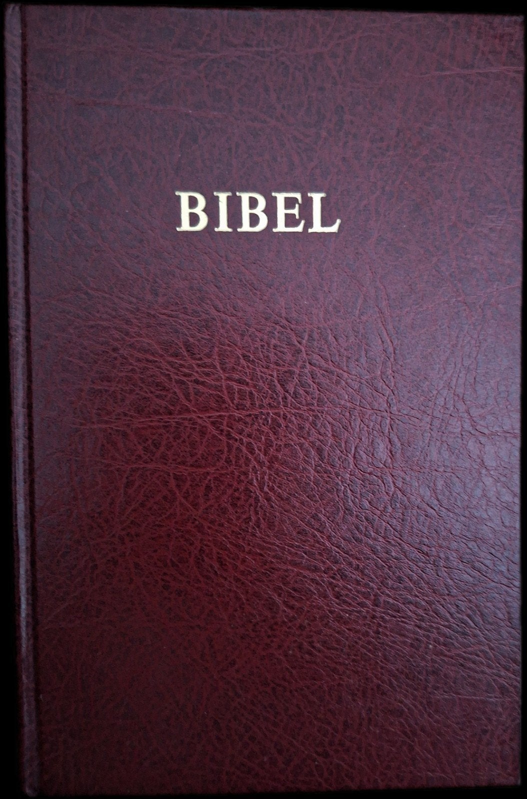 Bibel - Nederlands Bijbelgenootschap 1989, Boeken, Ophalen of Verzenden, Gelezen, Nederlands Bijbelgenootschap, Katholieke Bijbelstichting
