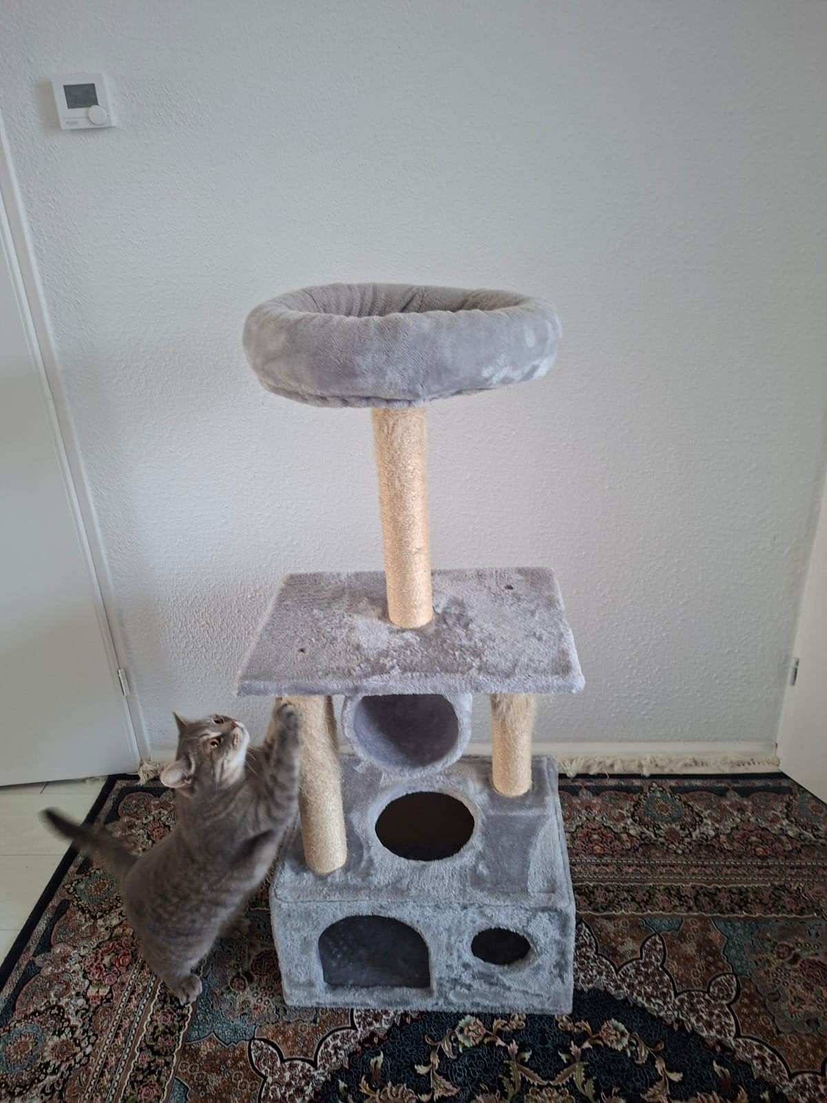 Krabpaal, Ophalen of Verzenden, Zo goed als nieuw