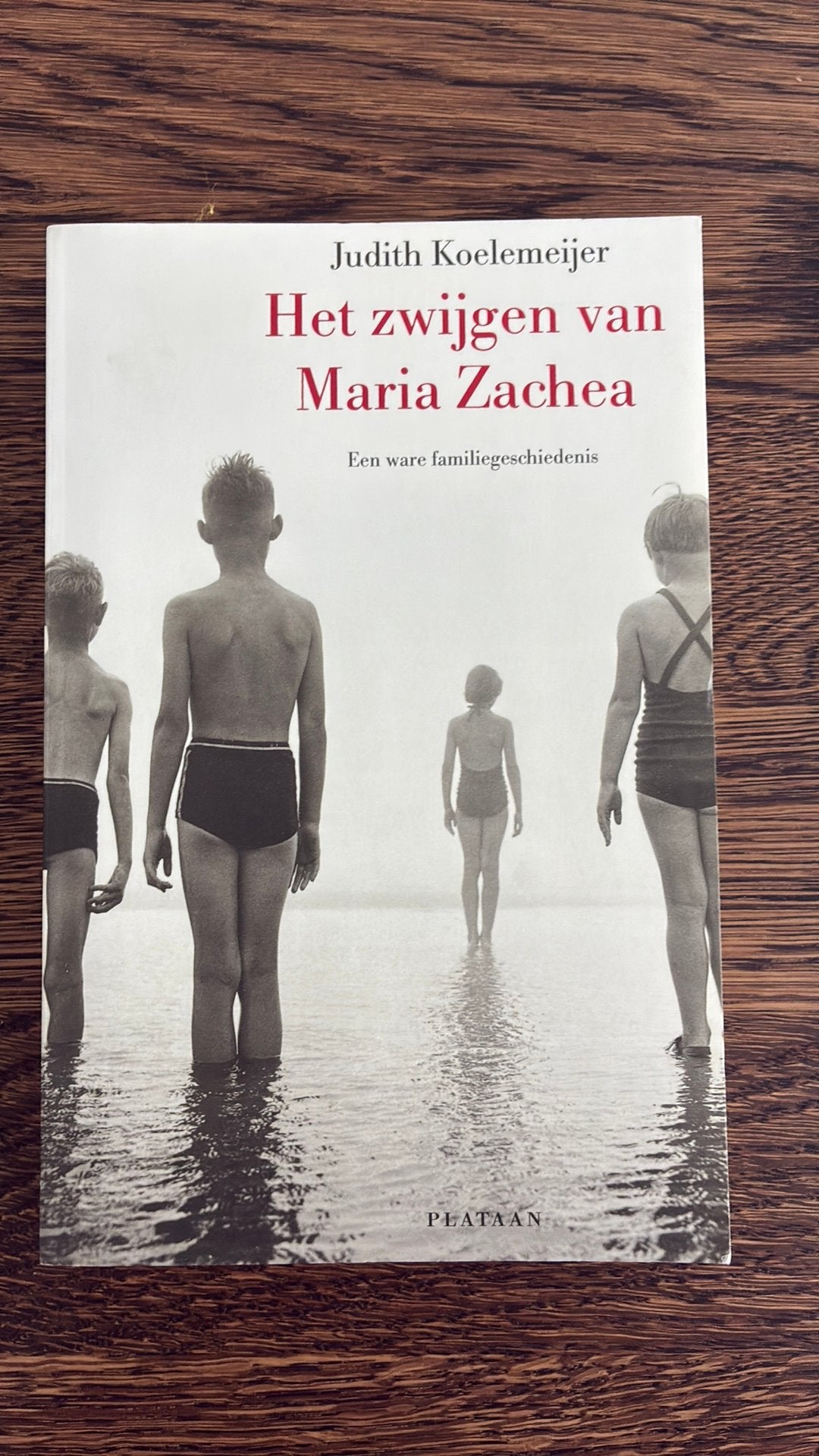 Judith Koelemeijer - Het zwijgen van Maria Zachea, Ophalen of Verzenden, Zo goed als nieuw, Judith Koelemeijer
