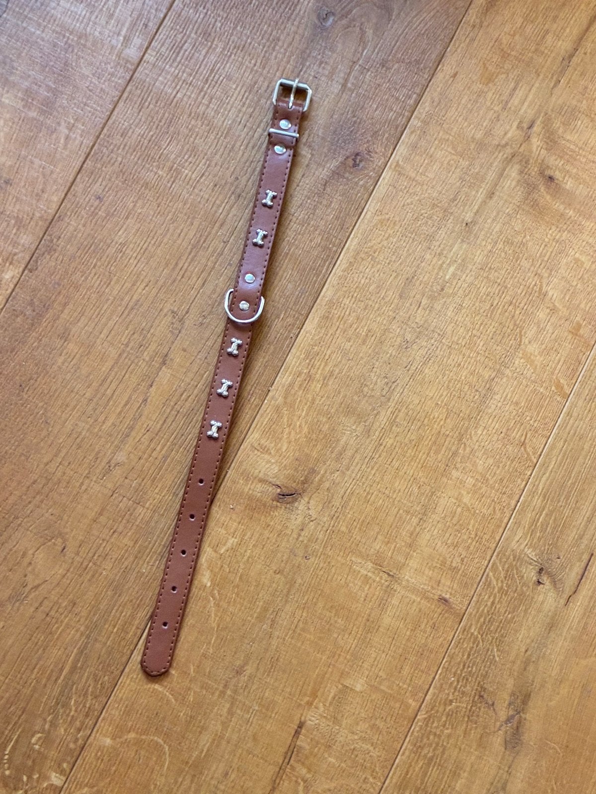 Hondenhalsbandje maat Jack Russel, Ophalen of Verzenden, Nieuw