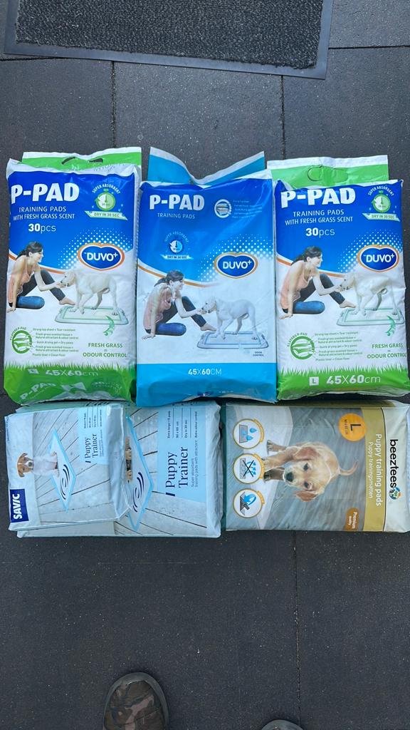 Training pads, Dieren en Toebehoren, Ophalen of Verzenden, Nieuw