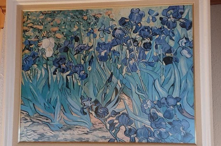Gedrukt schilderij 'De Irissen' van Vincent van Gogh, Ophalen