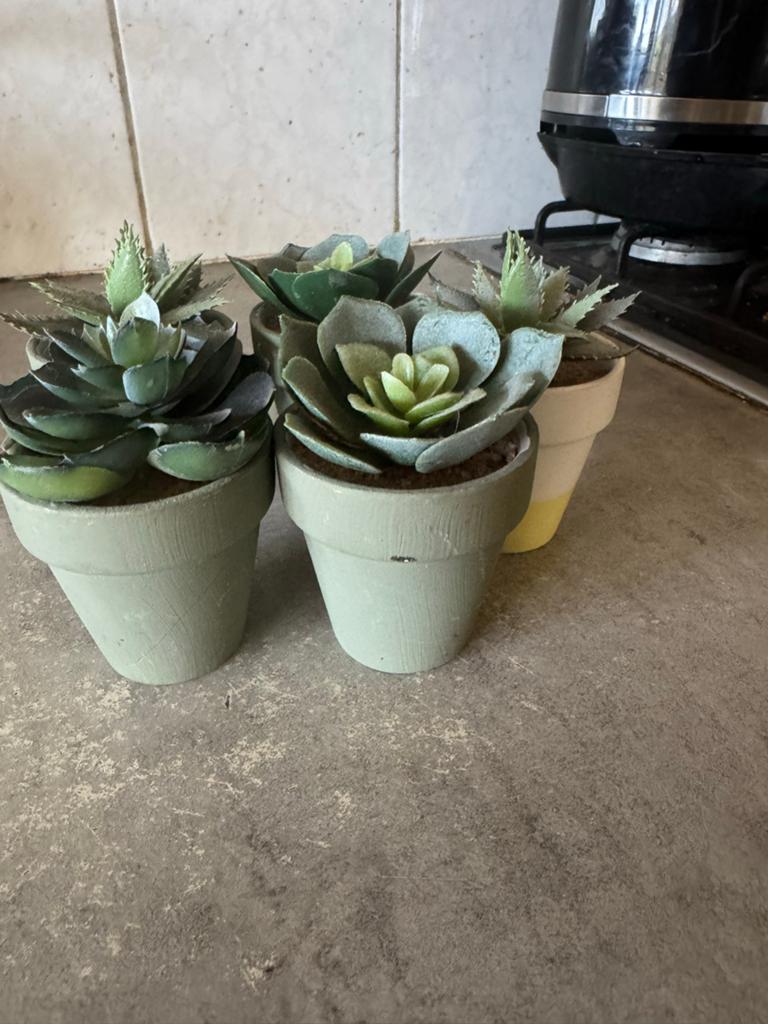 Set van 5 kunstplantjes in pot, diverse succulenten, Binnen, Groen, Kunstplant, Ophalen of Verzenden