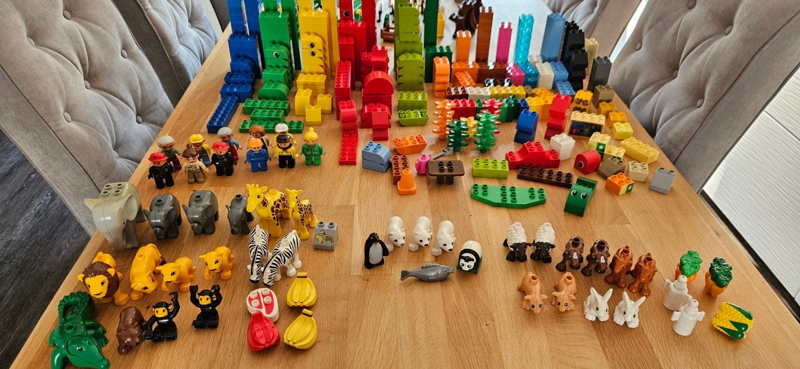 Grote collectie LEGO Duplo met poppetjes en dieren, Ophalen, Gebruikt, Duplo, Losse stenen