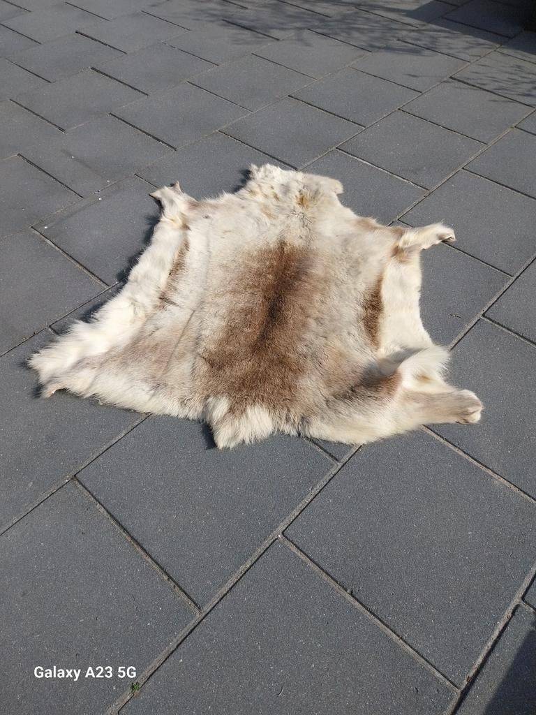 Decoratief rendiervel - Natuurlijke uitstraling, Ophalen, Gebruikt, 50 tot 100 cm, 50 tot 100 cm