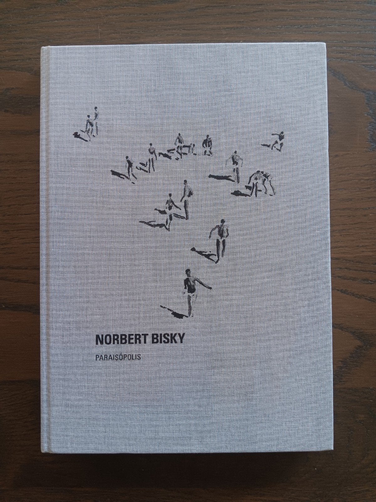 Norbert Bisky: Paraisópolis - Kunstboek, Ophalen of Verzenden, Zo goed als nieuw, Schilder- en Tekenkunst, Norbert Bisky