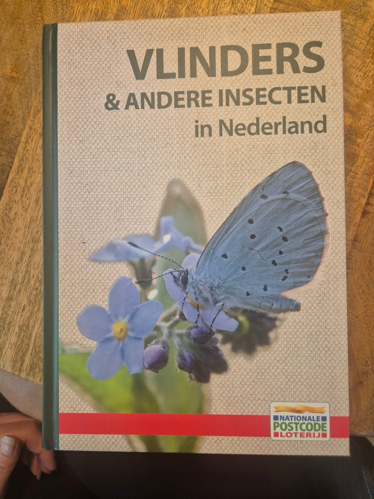 Vlinders & Andere Insecten in Nederland - Natuurgids, Ophalen of Verzenden