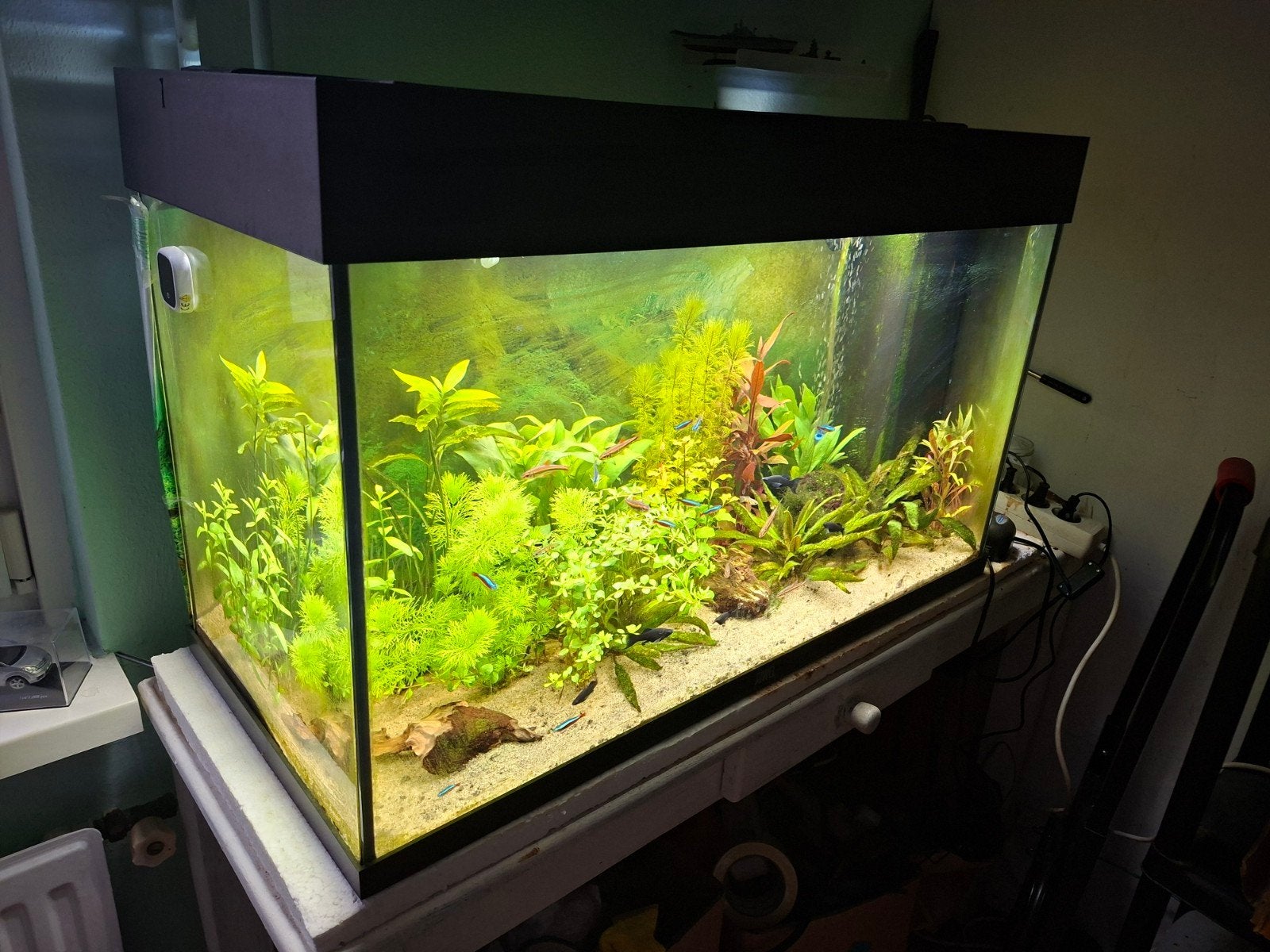 te koop aquarium., Dieren en Toebehoren, Ophalen, Inclusief vissen, Zo goed als nieuw, Gevuld zoetwateraquarium