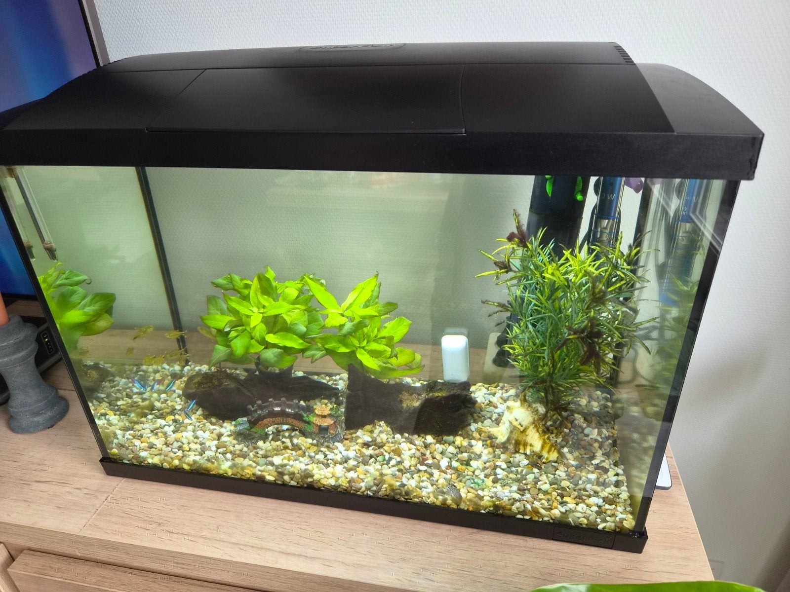 Aquarium, 70 liter., Ophalen, Superfish, Inclusief vissen, Gevuld zoetwateraquarium
