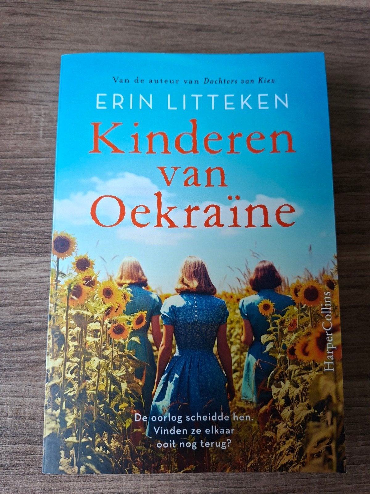 Erin Litteken Kinderen van Oekraïne, Ophalen of Verzenden, Zo goed als nieuw