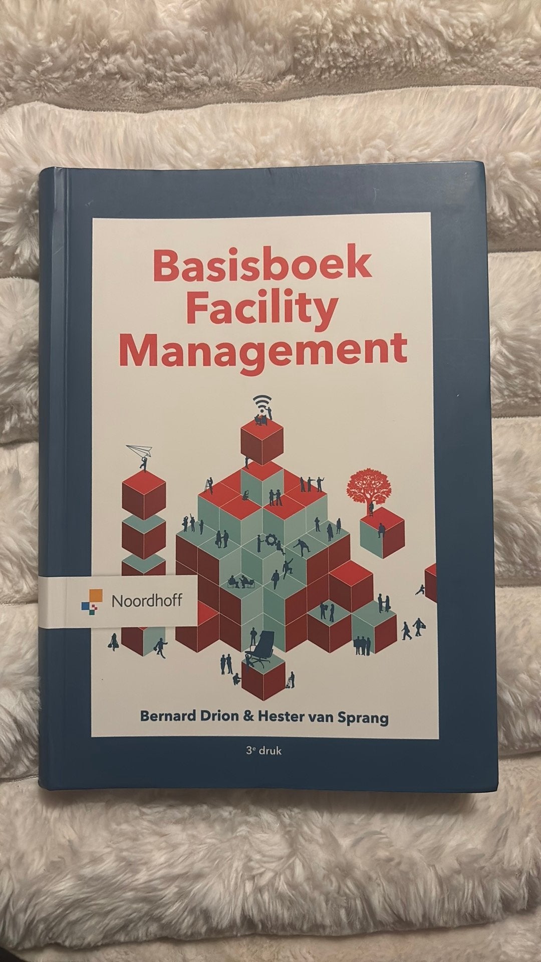 Basisboek Facility Management - Hester van Sprang, Boeken, Ophalen of Verzenden, Zo goed als nieuw, Hester van Sprang; Bernhard Drion