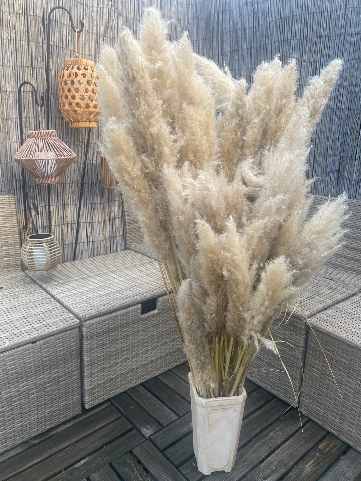 Grote bos pampaspluimen fluffy en zeer decoratief, Ophalen, Zo goed als nieuw