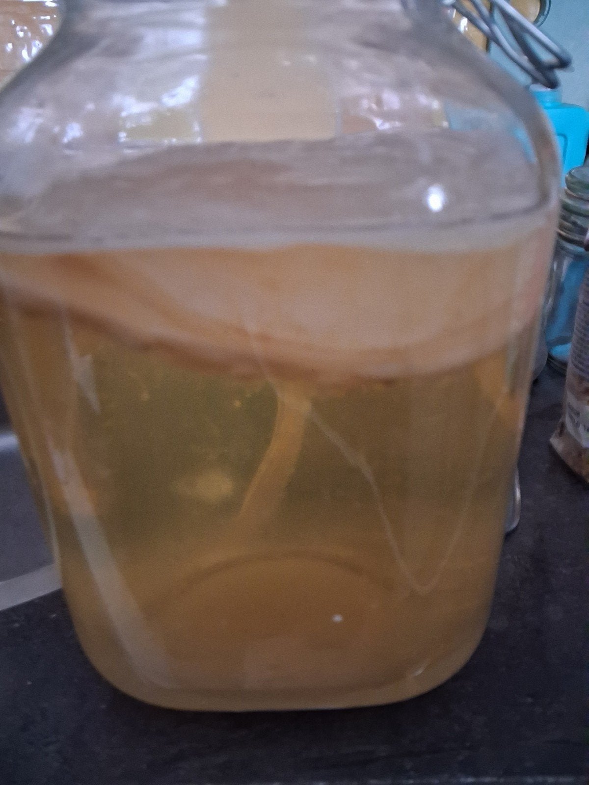 kombucha en scoby, Ophalen