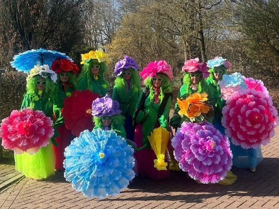 Carnavalskleding: Bloemenpakken voor groepen 10 personen, Ophalen, Zo goed als nieuw, Carnaval