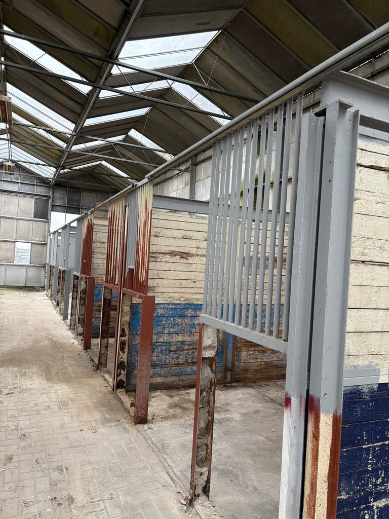Te koop 5 paarden boxen