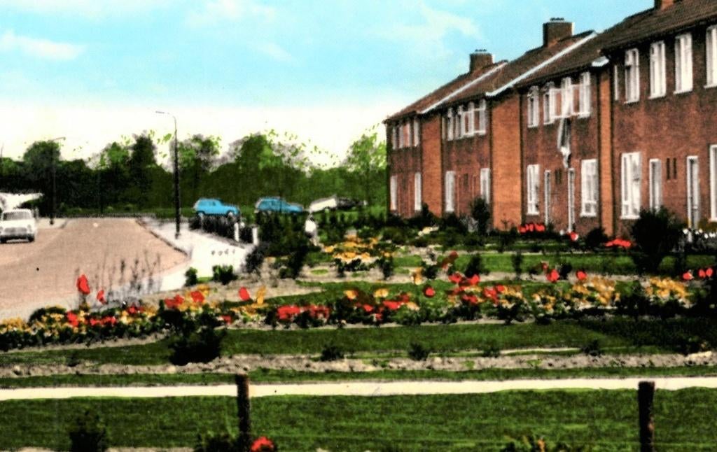 801320 Wijnjeterp 80+ Friesland _Gelopen met mooie zegel, Verzamelen, Ansichtkaarten | Nederland, Verzenden, 1980 tot heden, Gelopen