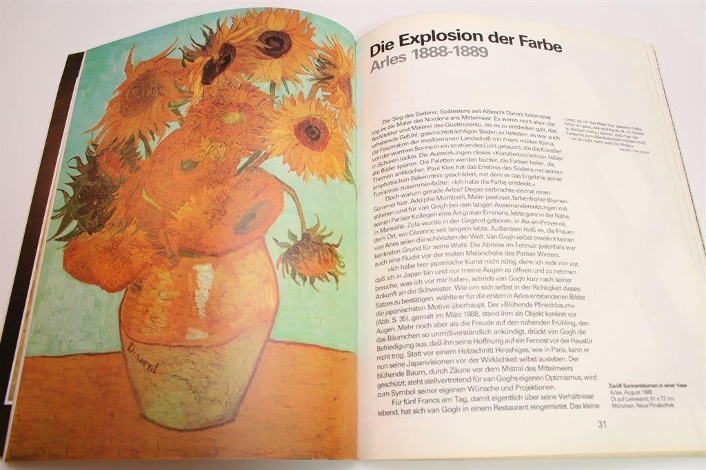 Vincent van Gogh [1853-1890] — Visie en Werkelijkheid, Ophalen of Verzenden, Gelezen