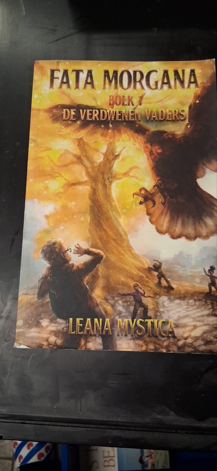 Fata Morgana Boek 1: De Verdwenen Vaders - Leana Mystica