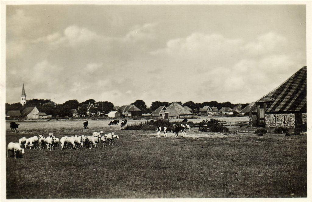 Texel, den Hoorn - gezicht op - 193? gelopen, Ophalen of Verzenden, 1920 tot 1940, Gelopen, Waddeneilanden