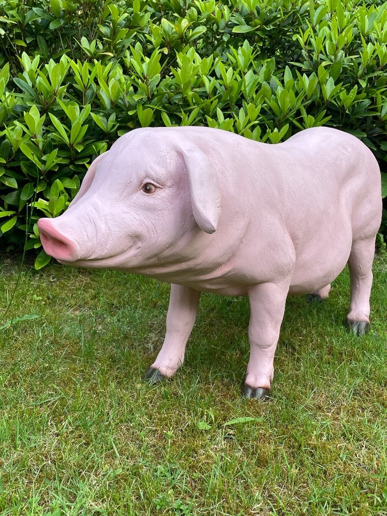 (Tuin)Beeld varken, tuin, gazon, manege, boerderij 100cm, Tuin en Terras, Tuinbeelden, Ophalen, Nieuw, Kunststof, Dierenbeeld